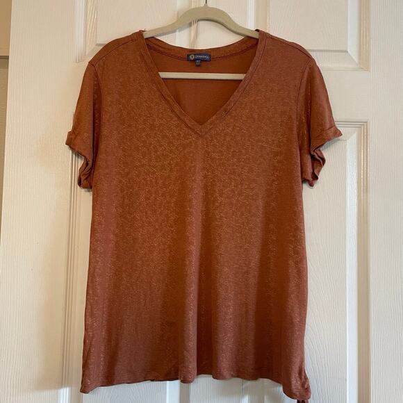 Democracy Rust V-Neck Blouse - Picture 1 of 13